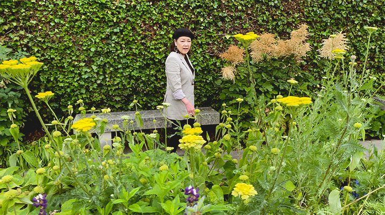Person standing by a bench in a lush garden with yellow flowers and a green ivy wall.