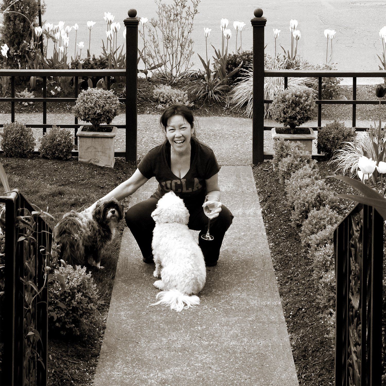 Woman kneeling on a garden path petting two dogs between hedges and a fence