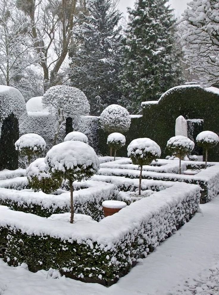 Snow-covered formal garden with trimmed hedges, round topiary, and trees in winter.