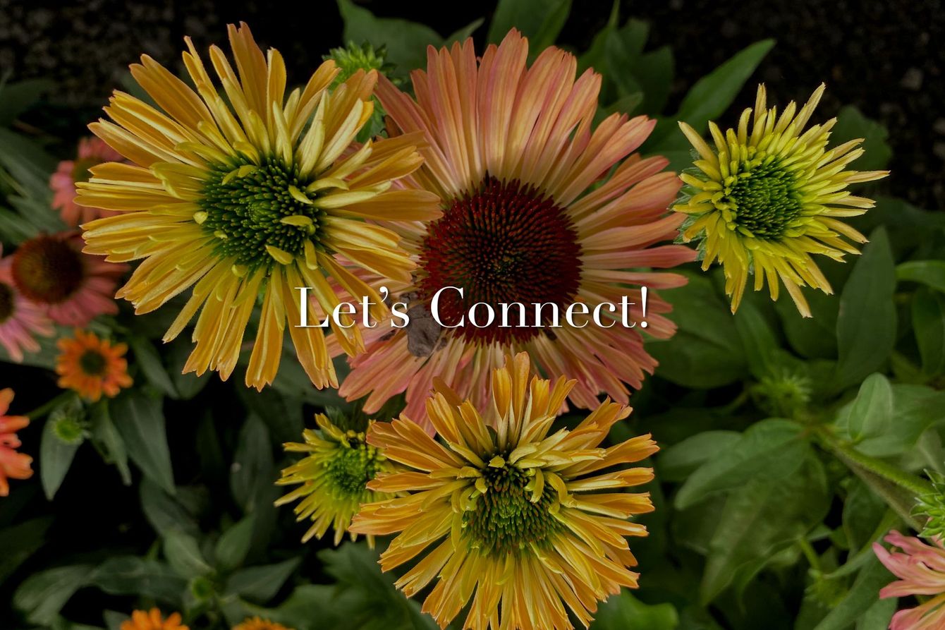 Colorful flowers with “Let’s Connect!” text centered over the blooms