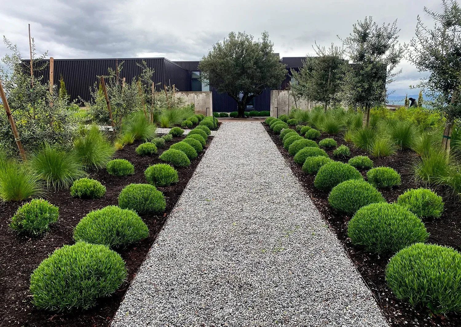 Gravel garden path bordered by round green shrubs and flowers leading to a house