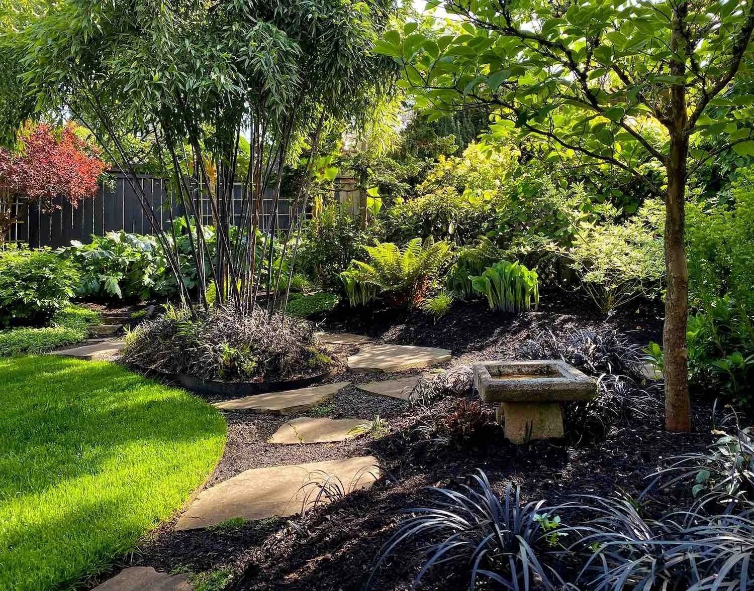 Sunlit garden path with trees, shrubs, and a stone bench amid lush greenery