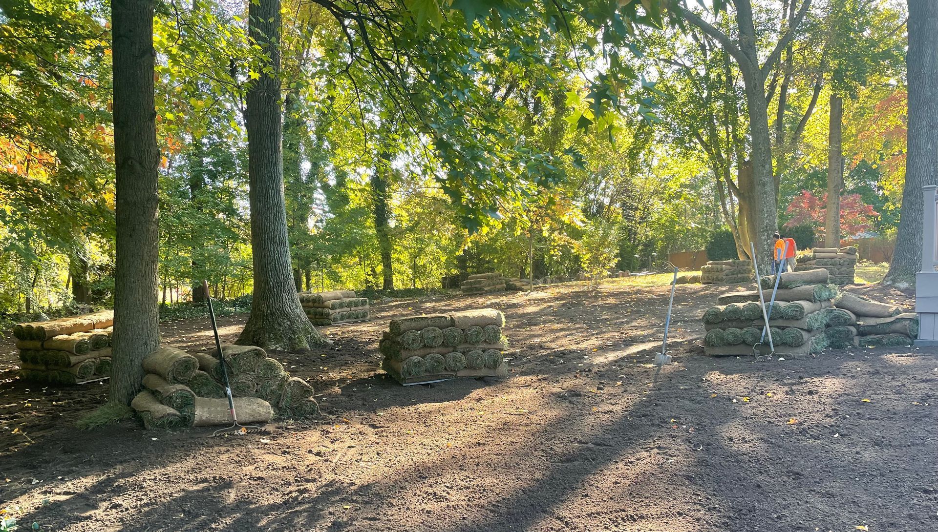 Backyard with no grass prior to sod being put down