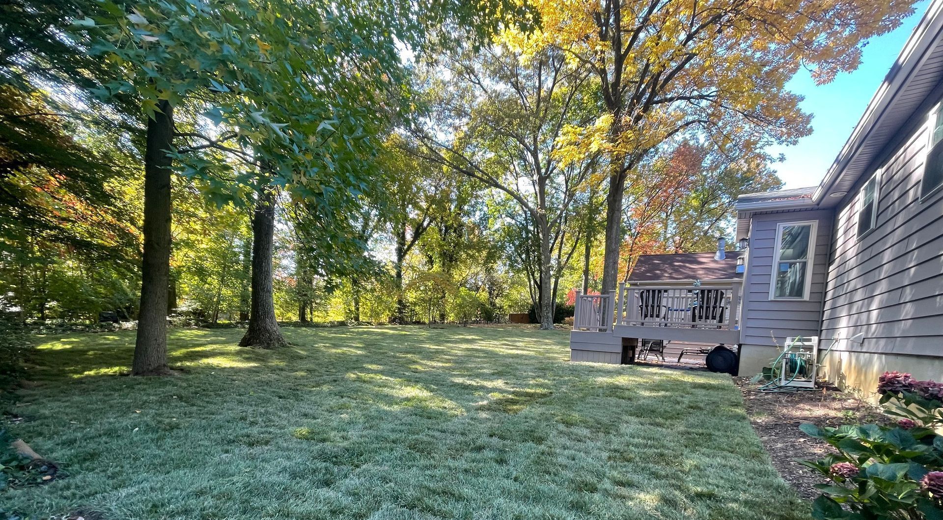 Backyard after sod has been installed, fresh instant grass