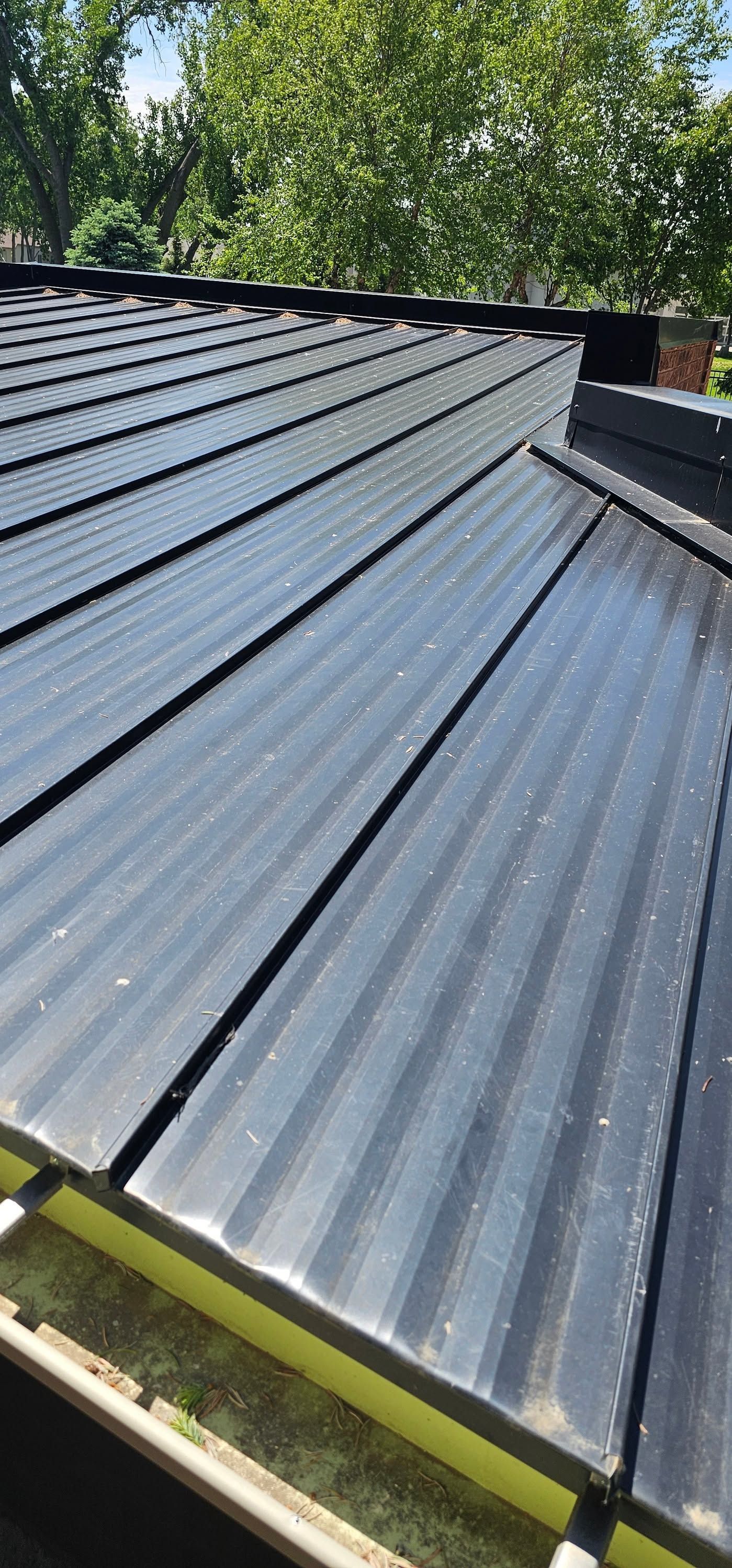 Dark gray corrugated metal roof with skylight panels and trees in the background