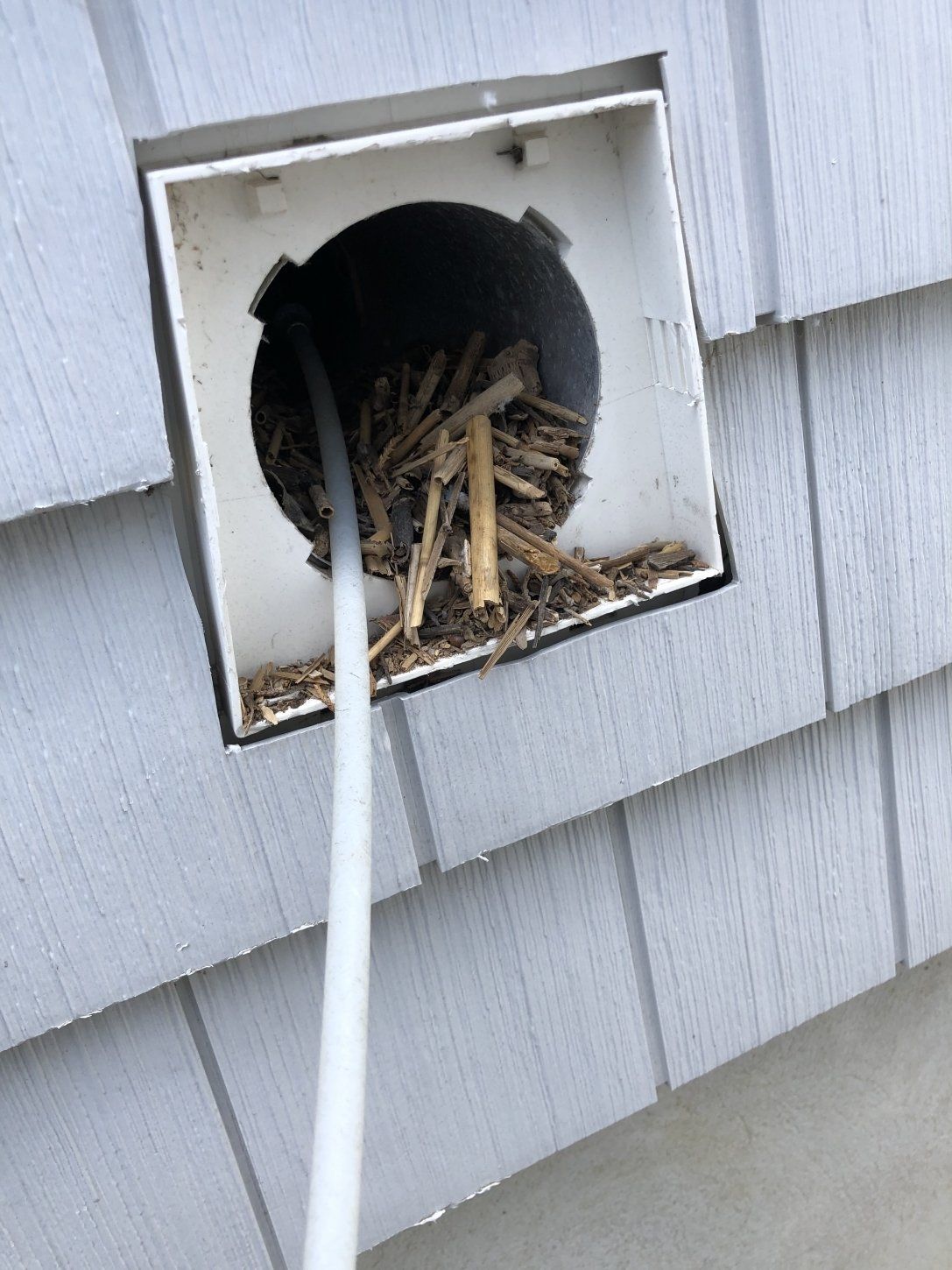 Dryer vent cleaning