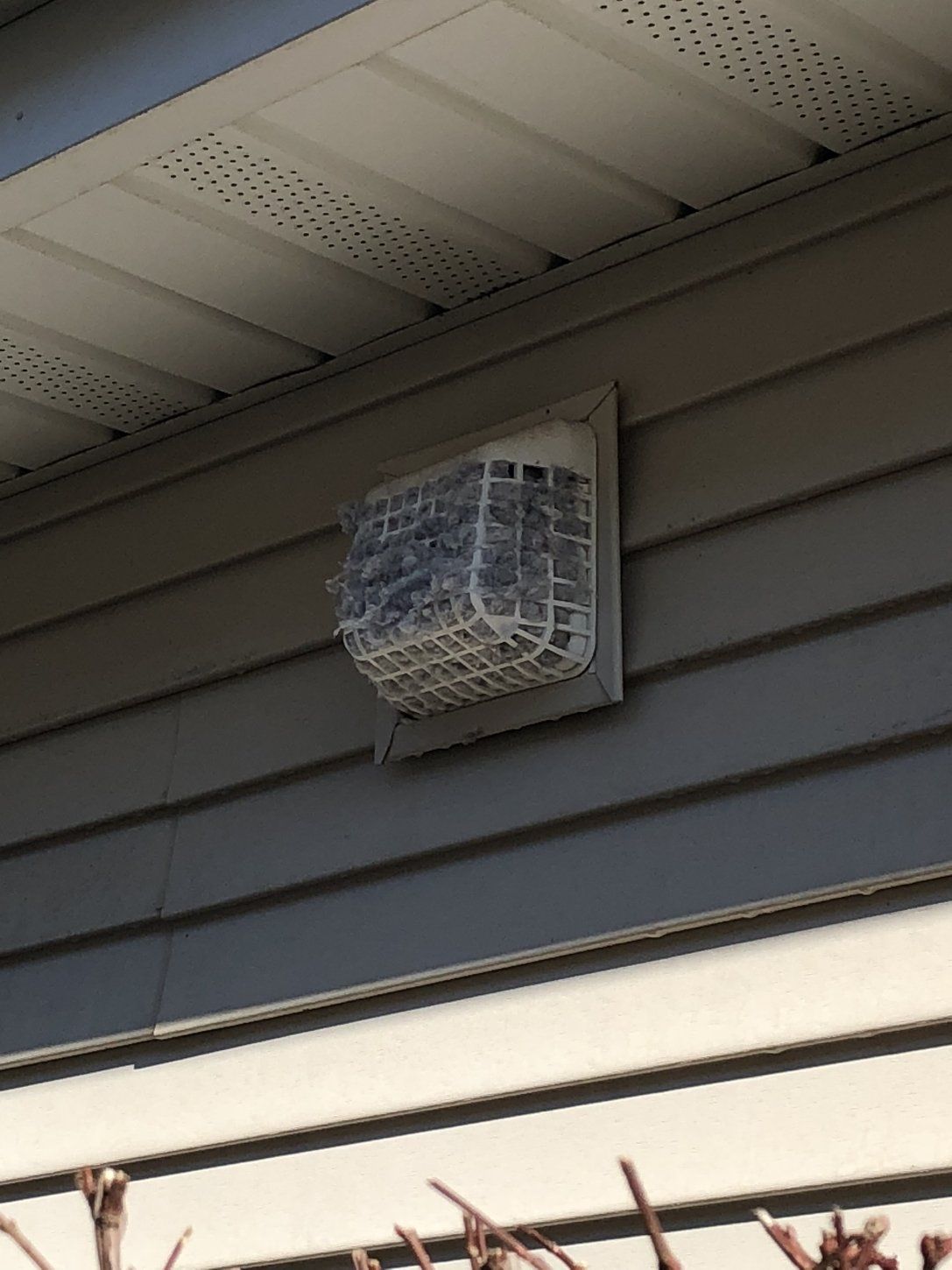 Dryer vent cleaning