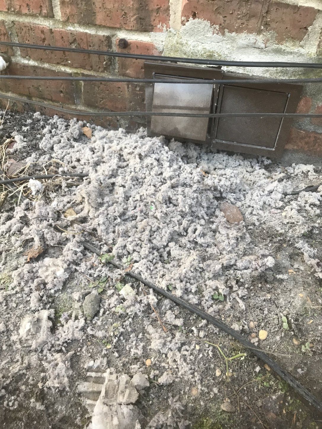 Dryer vent cleaning