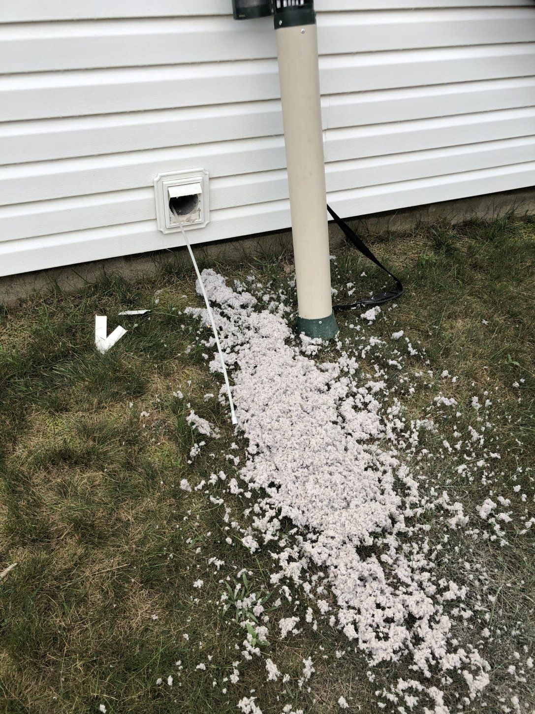 Dryer vent cleaning