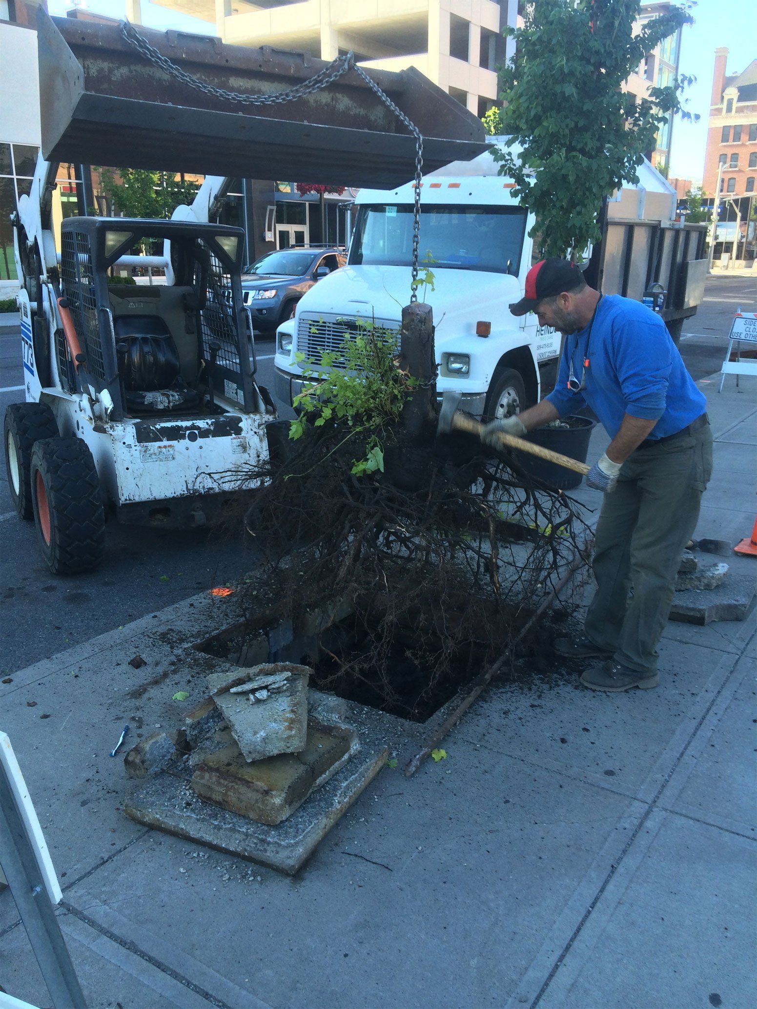 Man removed the tree and it's roots from a tree bed