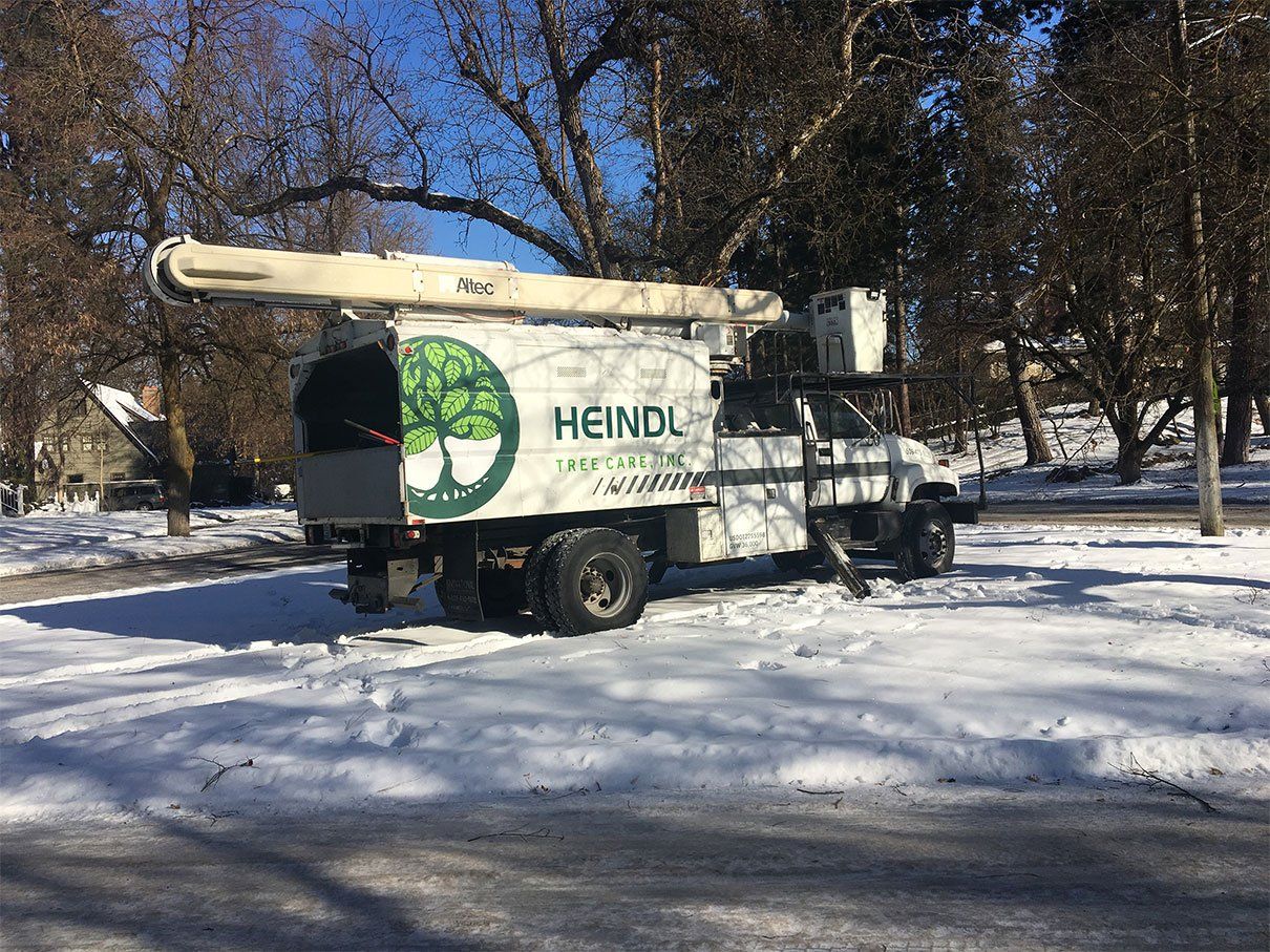 Heindl Tree Care Inc truck
