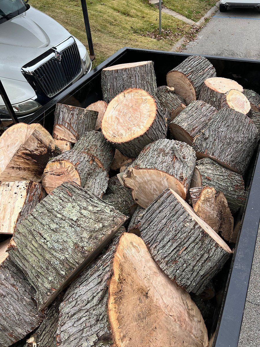 Debris and yard cleanup