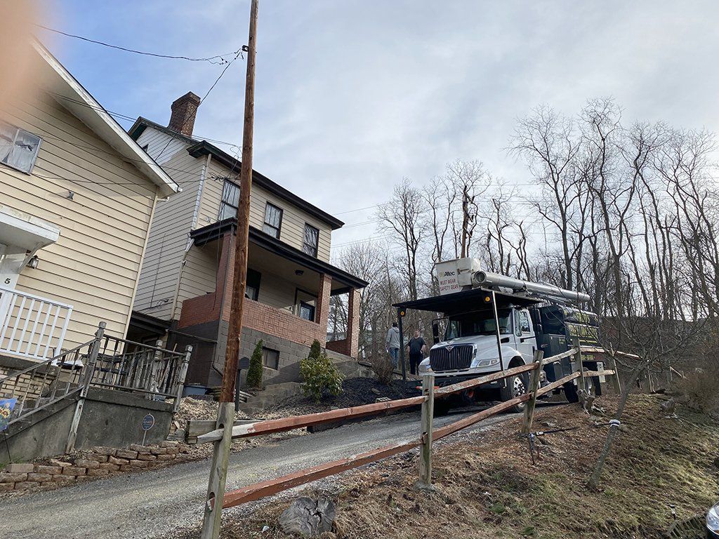 After tree extraction