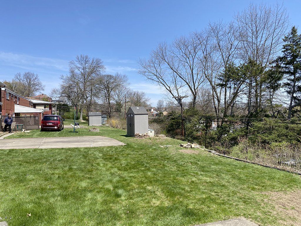 After tree cutting service