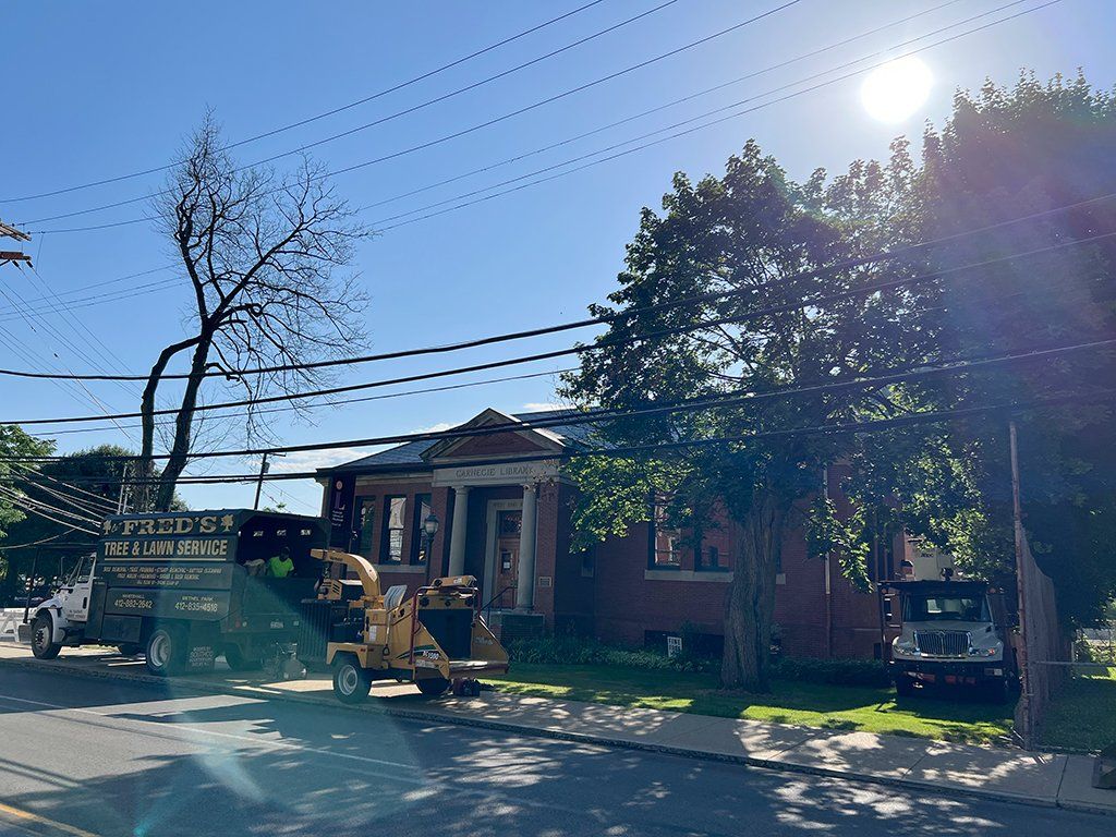 During local tree cutting service
