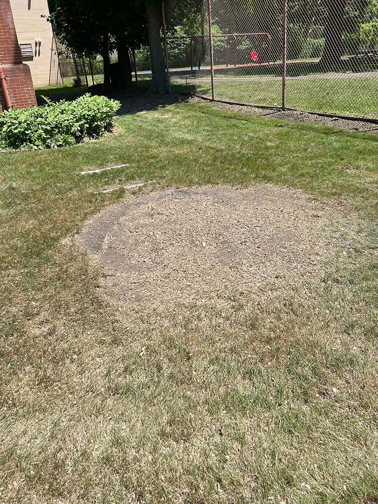 After local tree cutting service