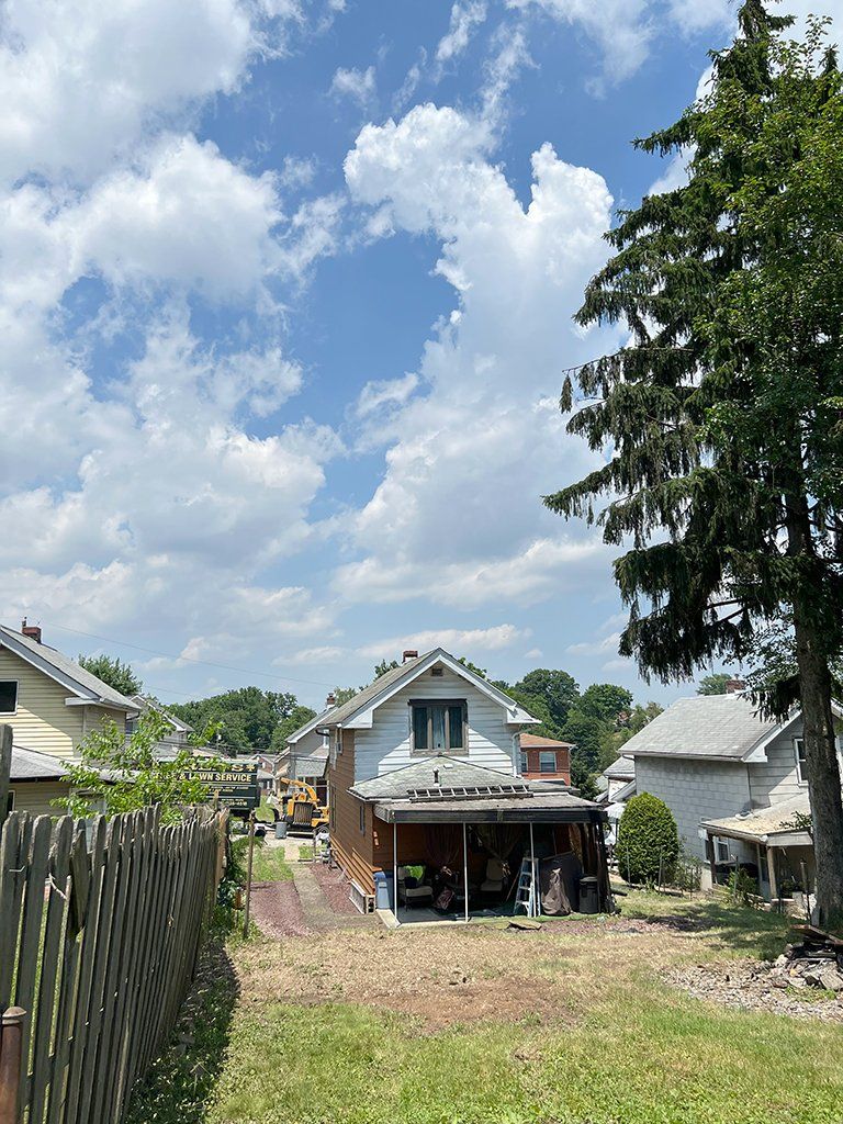 After tree care services