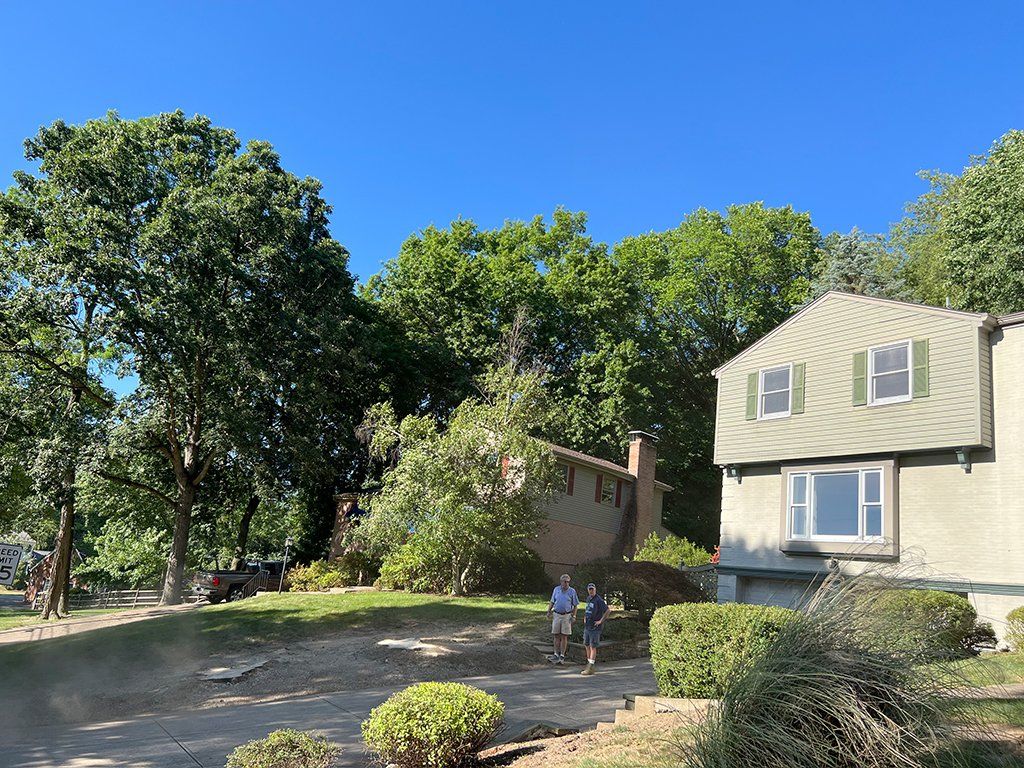 After tree removal services in Pittsburgh, PA