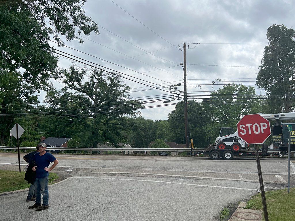 After removal of trees