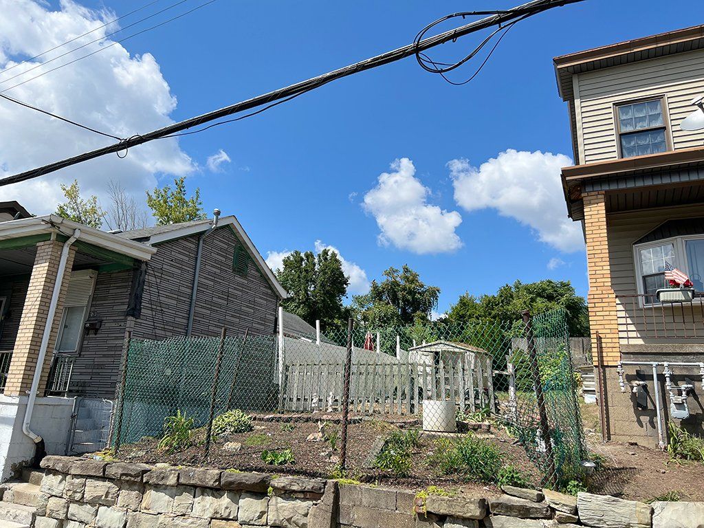 After tree and stump removals