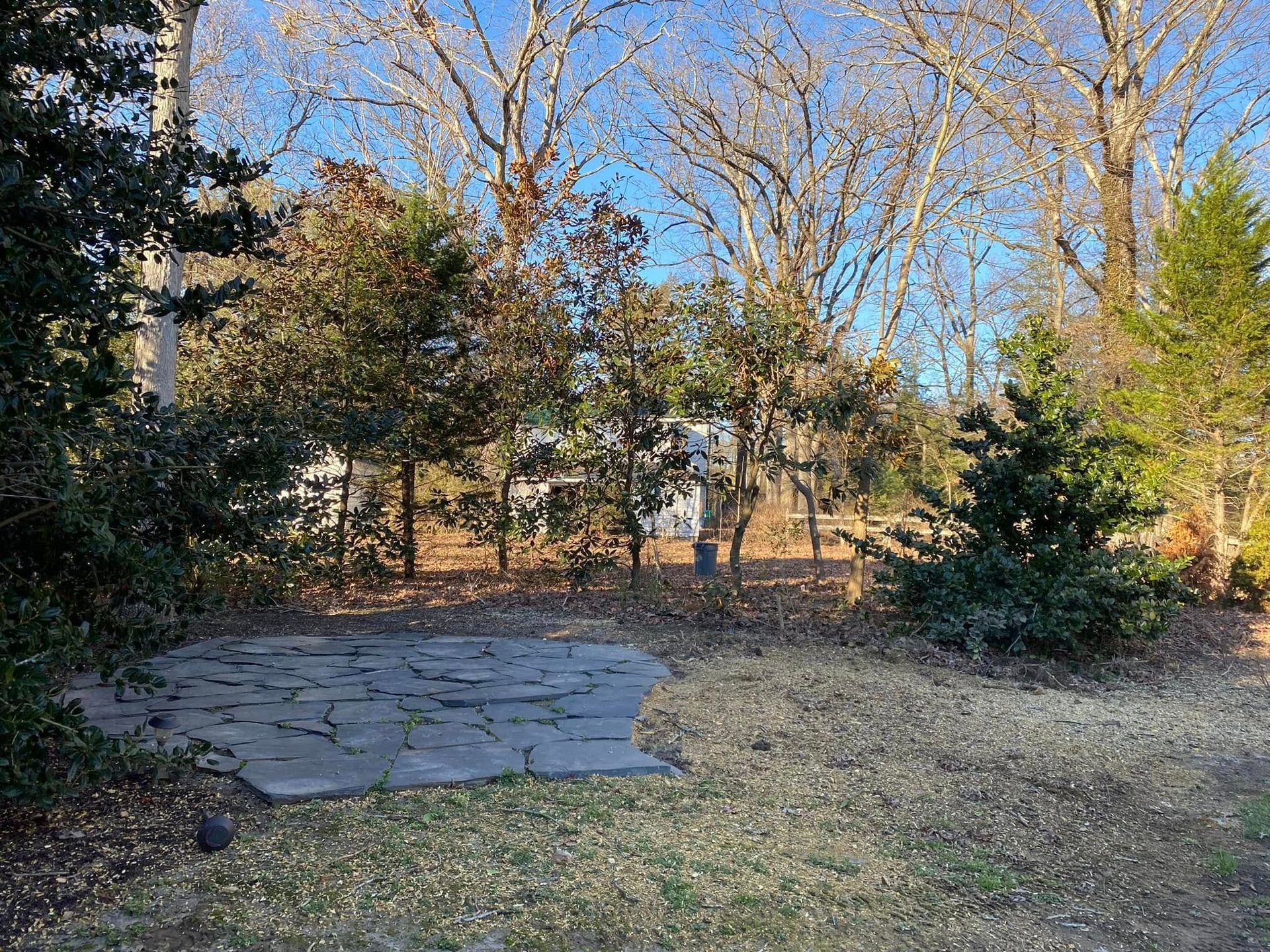 A backyard with a brick walkway and trees in the background.