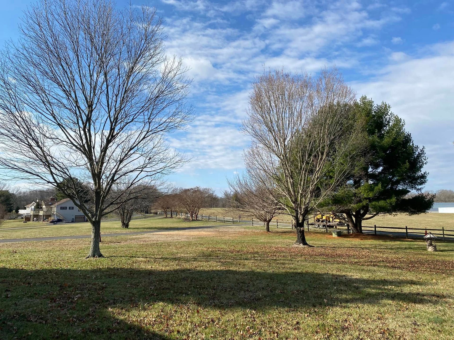 A field with trees and a house in the background