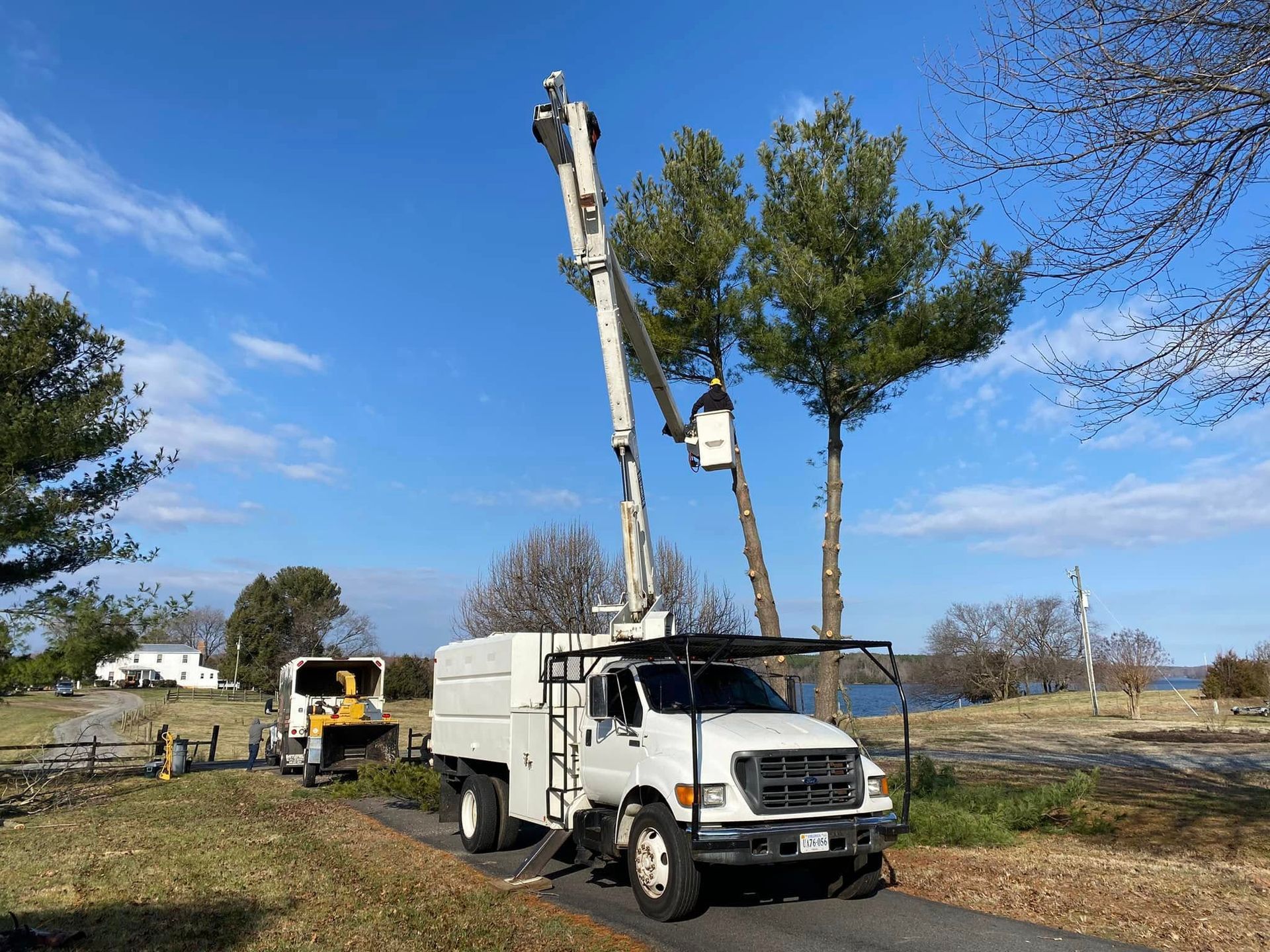 A white truck with a crane attached to it is cutting trees.