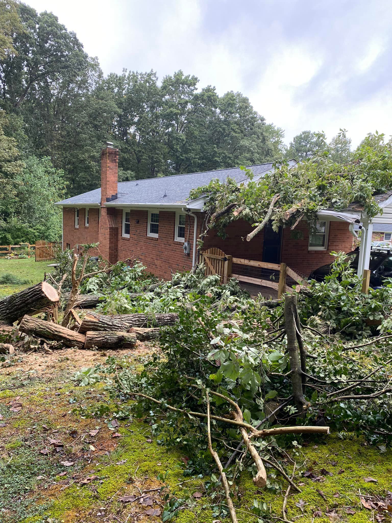 A brick house with a lot of trees in front of it.