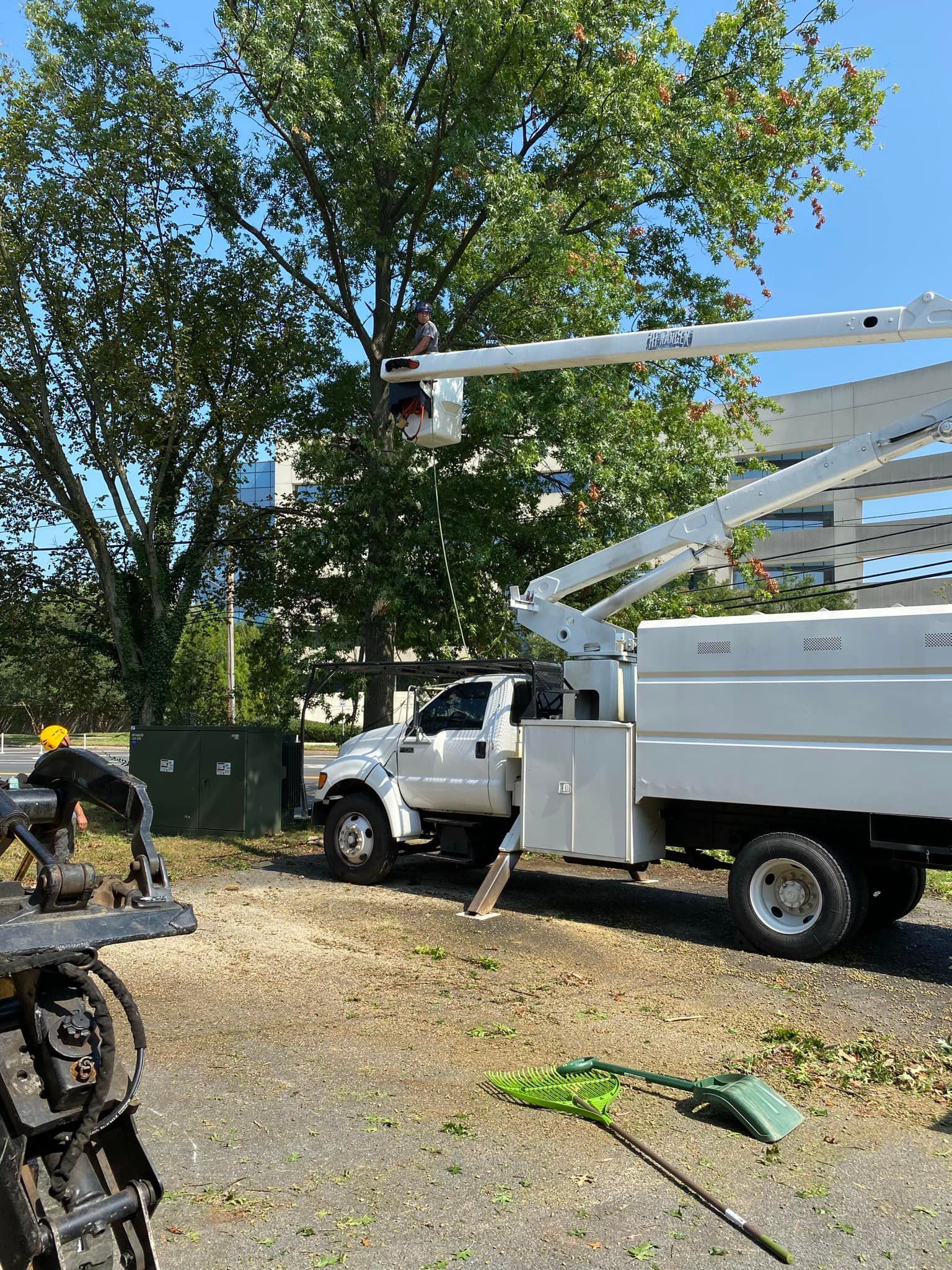 A white truck with a bucket on top of it is parked next to a tree.