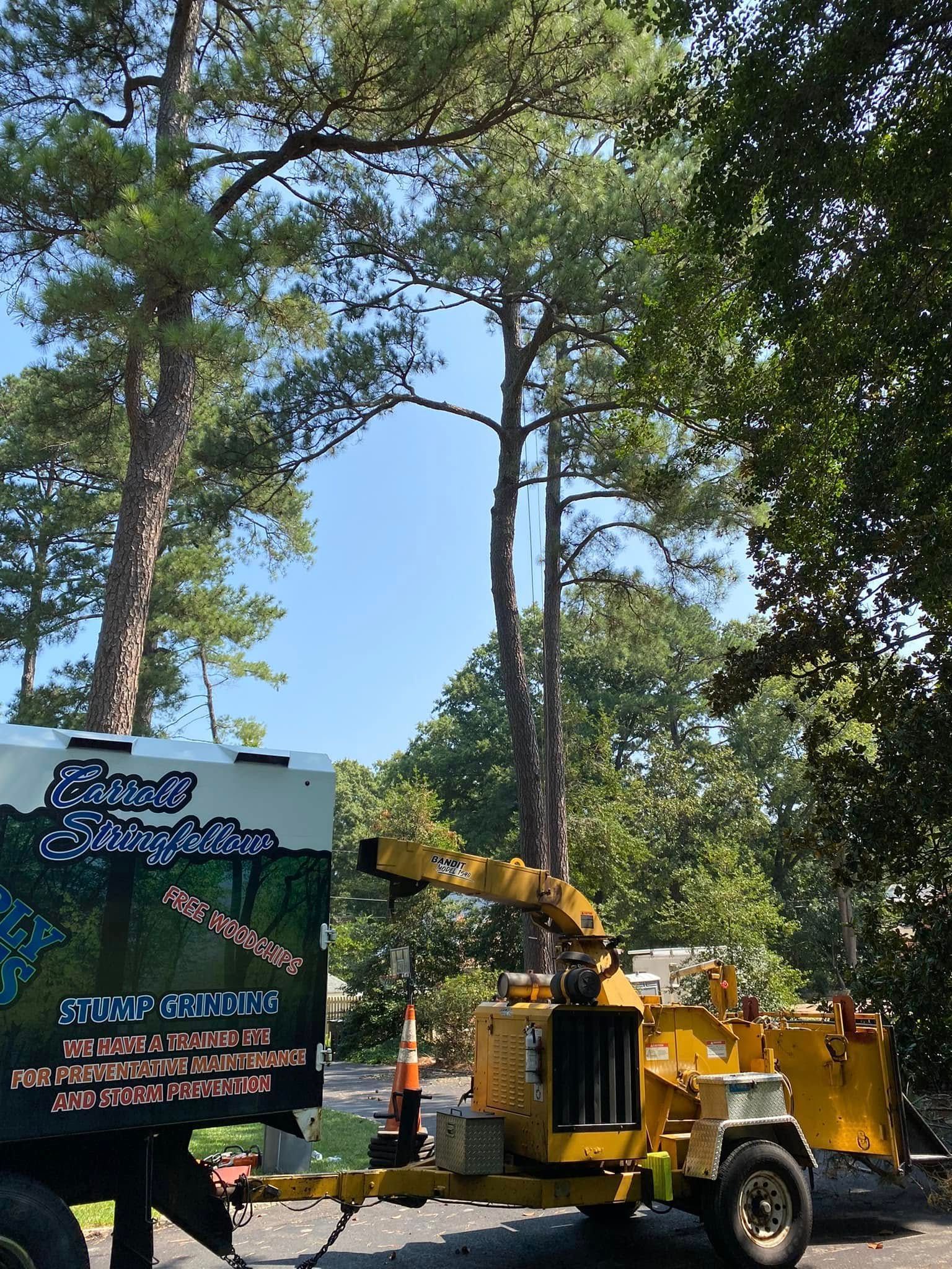 A tree chipper is parked in front of a tree.