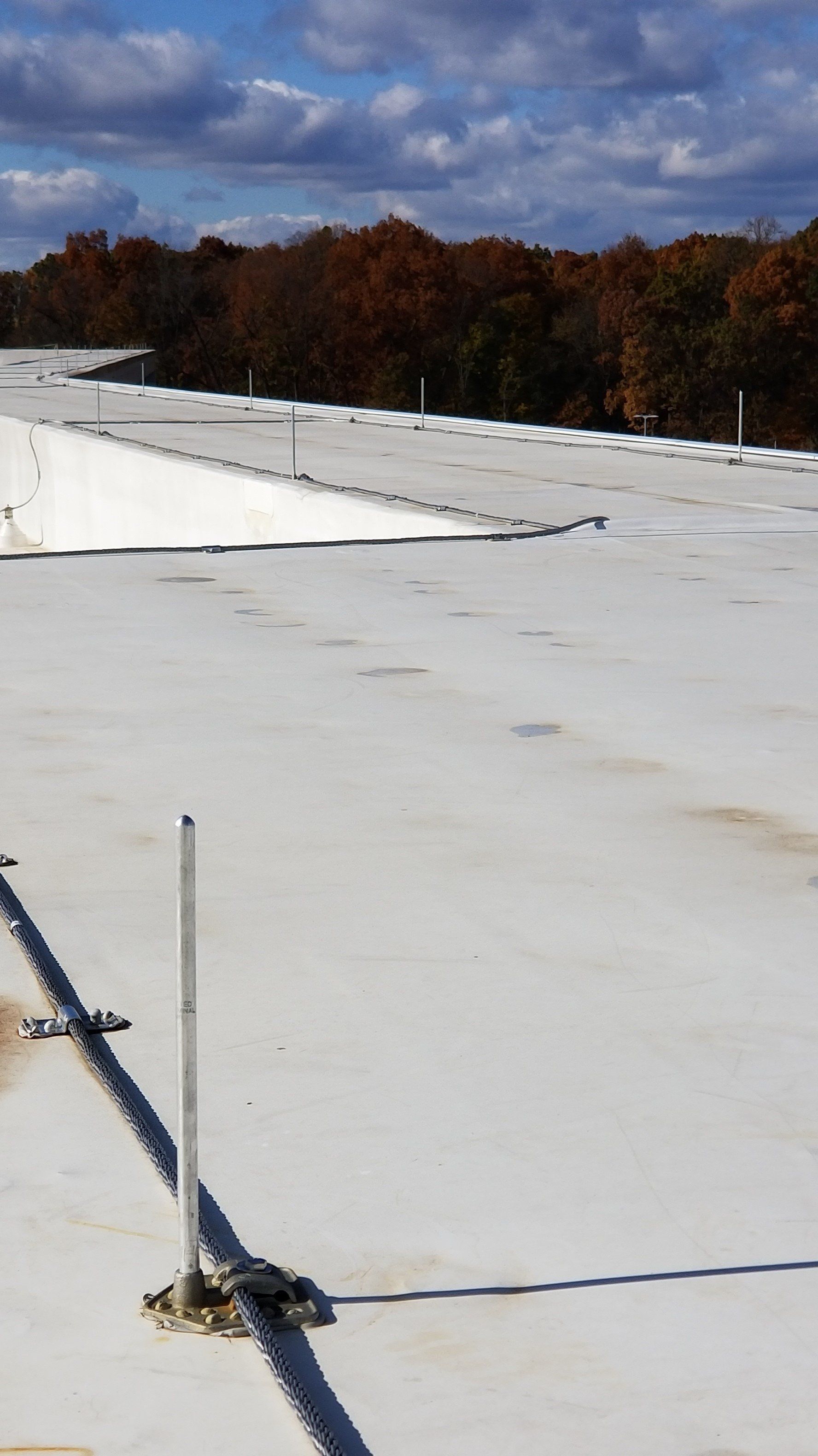 A white roof with trees in the background on a sunny day