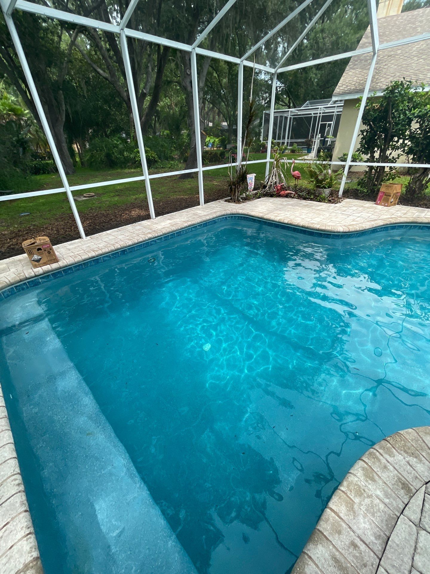 Screened backyard pool with bright blue water, stone deck, and a small planter by the fence.