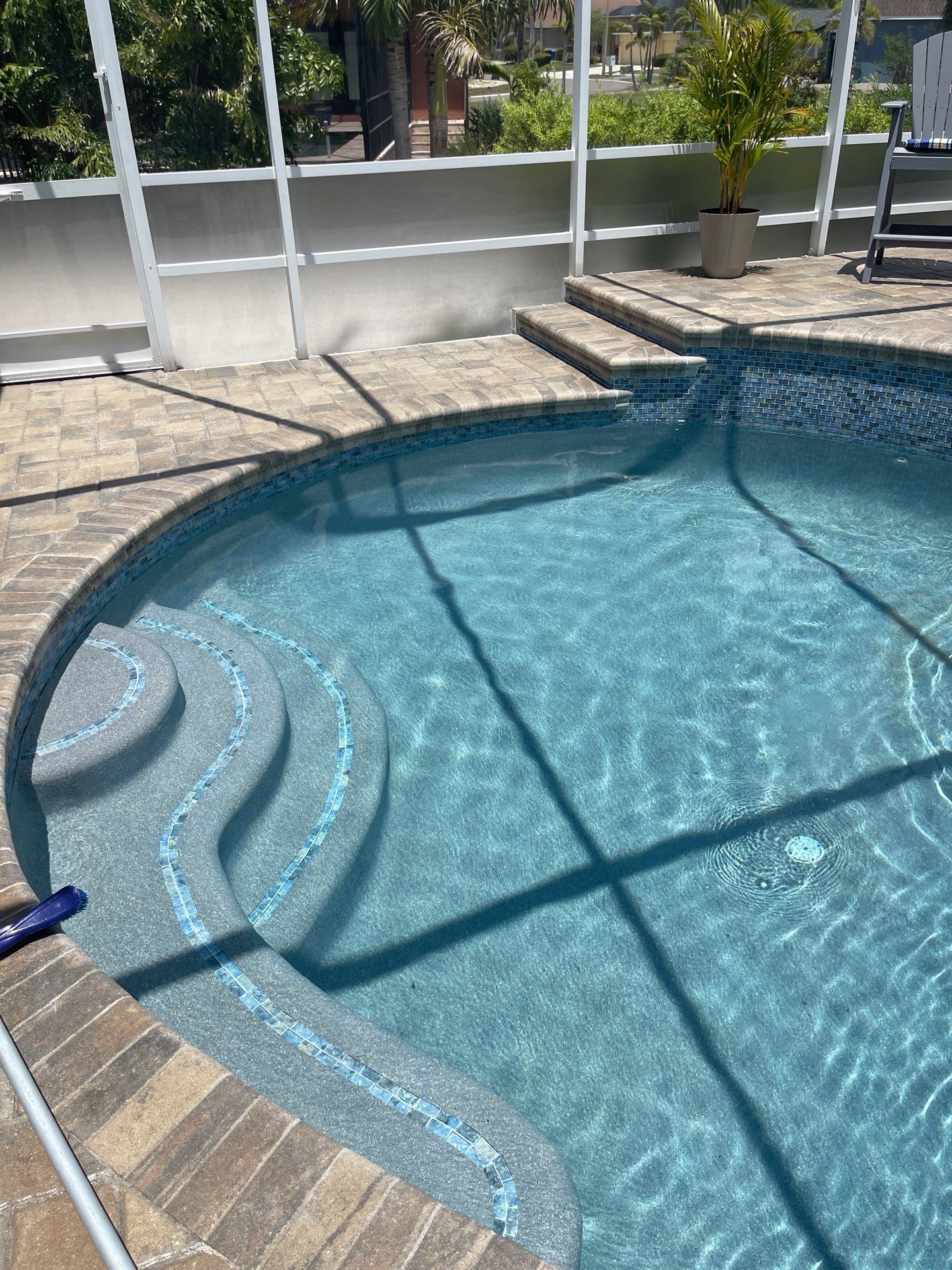 Curved swimming pool with shallow steps, brick edge, and patio chairs in bright sunlight.