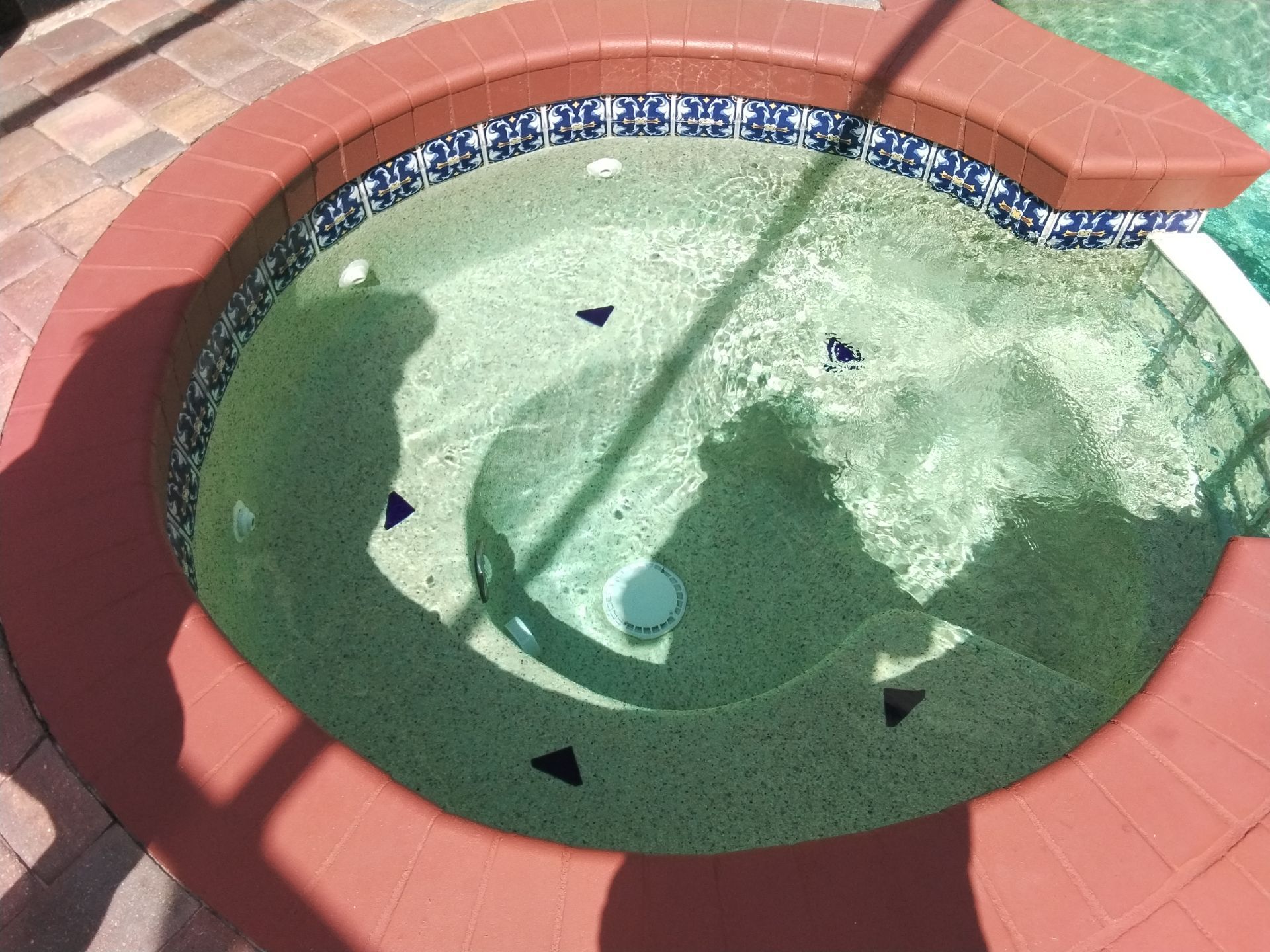 Small empty tiled swimming pool with green water and a white drain in sunlight.