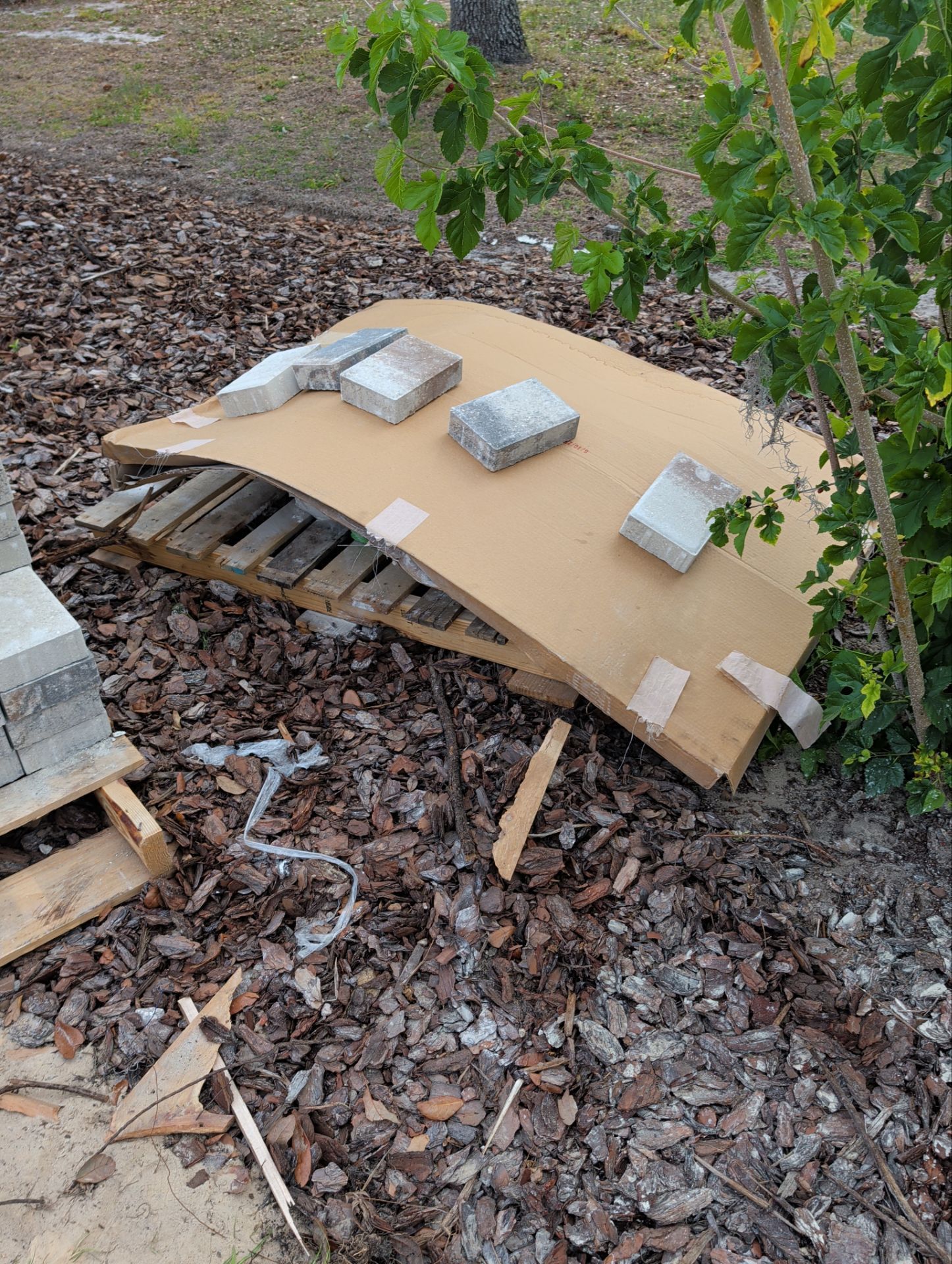 Cardboard shelter over a pallet on leaf litter, weighted with bricks in a wooded area.
