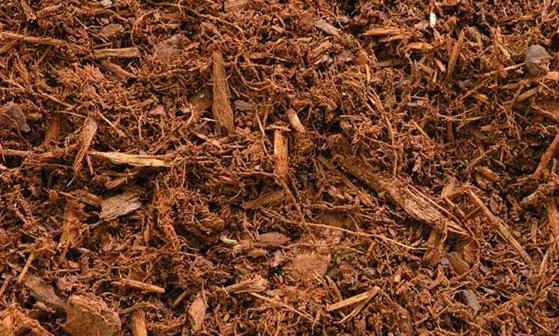 Natural hemlock mulch