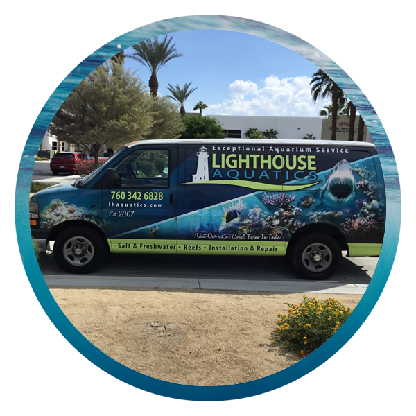 LightHouse Aquatics Services