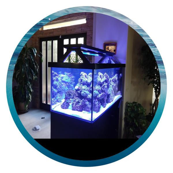 LightHouse Aquatics Services
