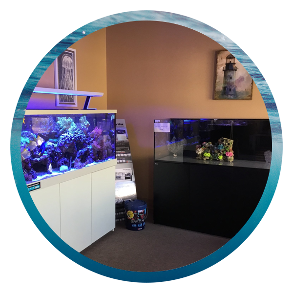 LightHouse Aquatics Services