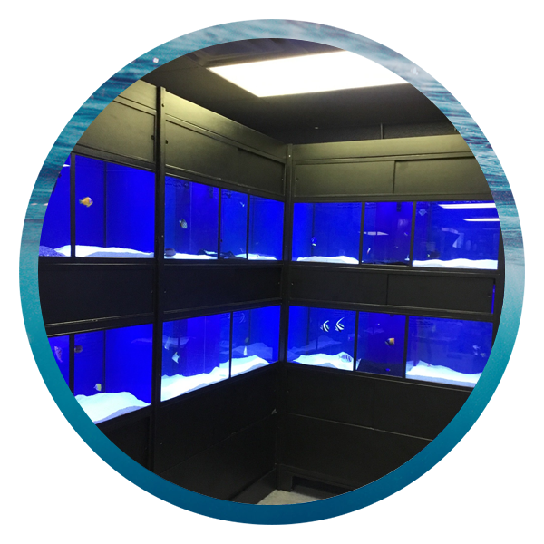 LightHouse Aquatics Services