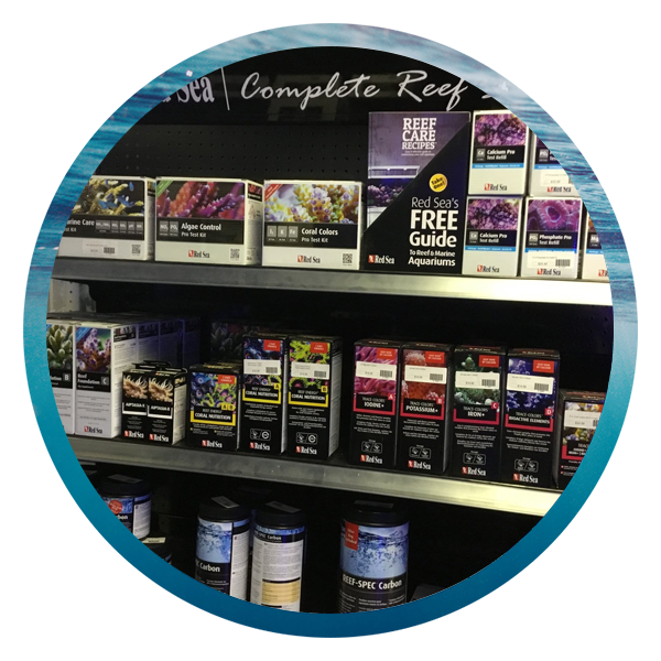 LightHouse Aquatics Services