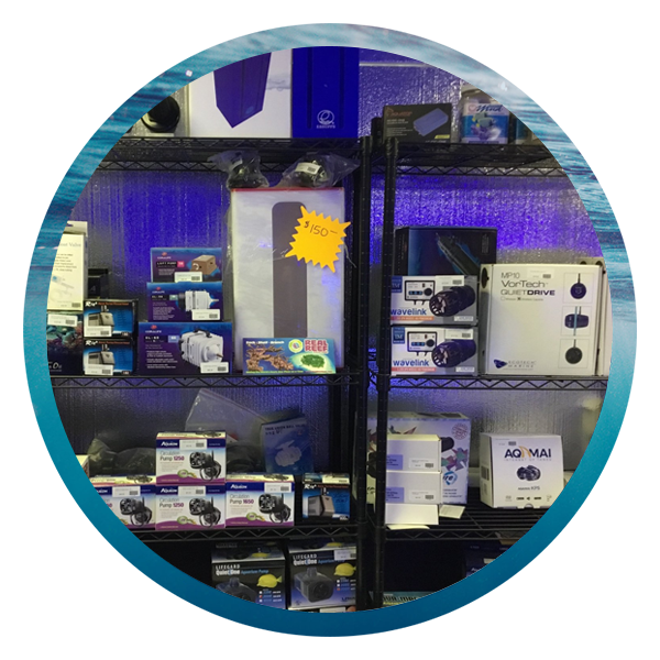 LightHouse Aquatics Services