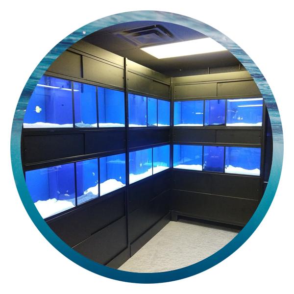 LightHouse Aquatics Services