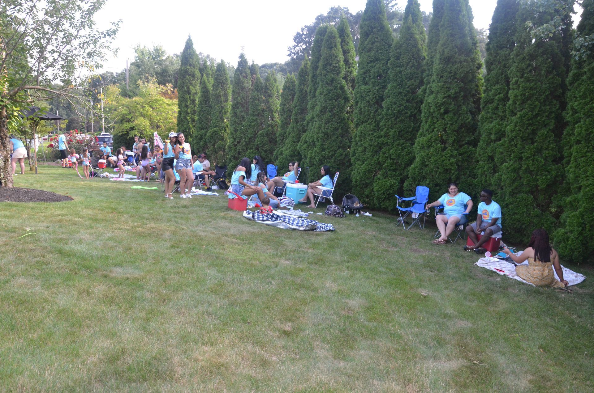 People relaxing on blankets and chairs on grass, near tall green trees.