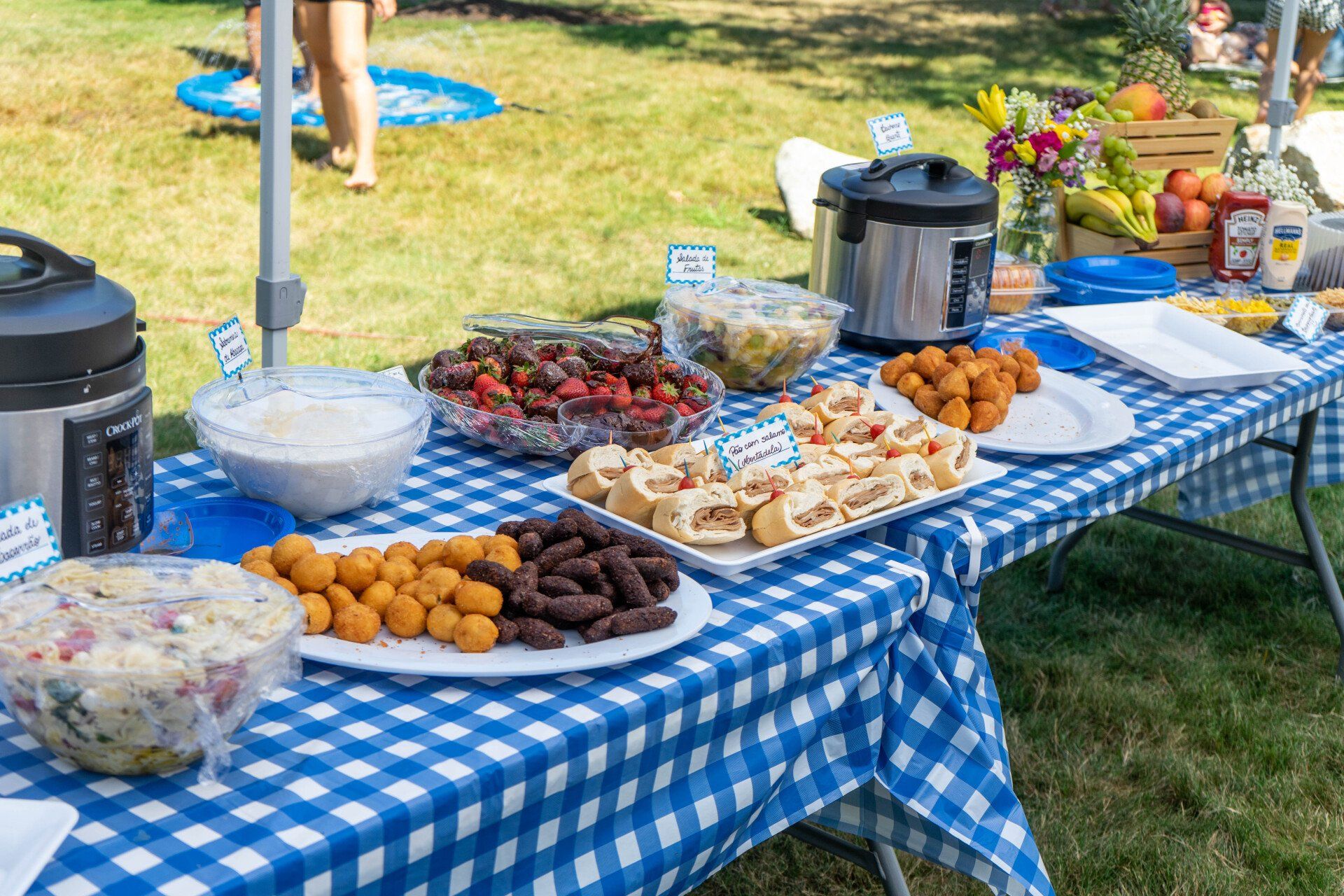 Outdoor picnic table with food: potato salad, meatballs, veggies, and more on blue checkered cloth.