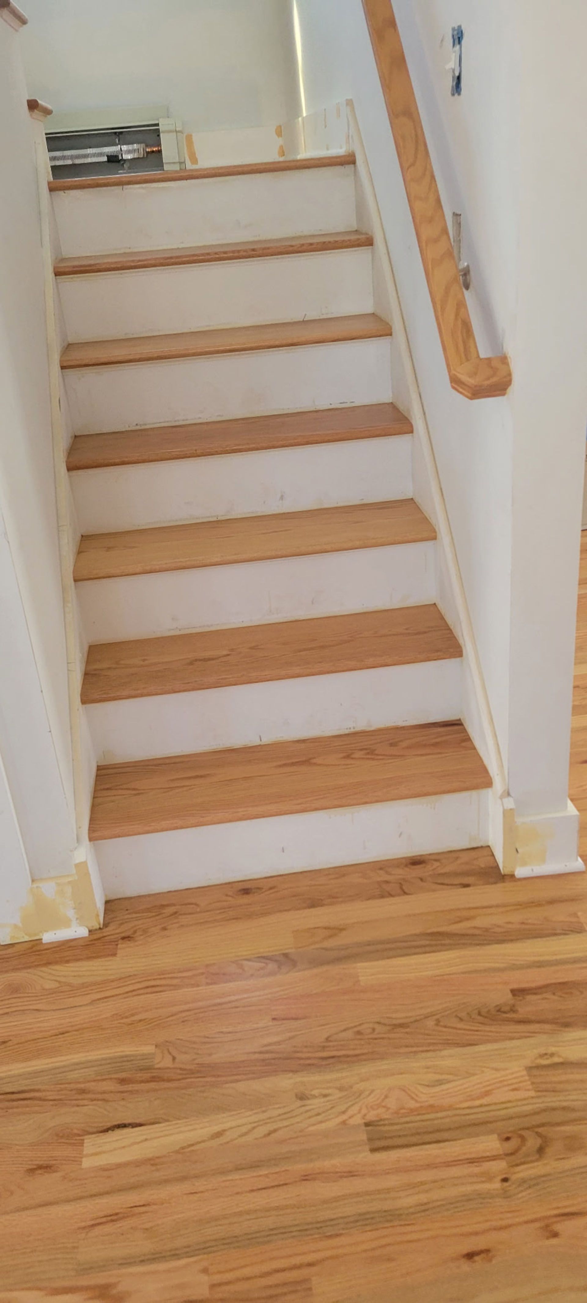 Wooden staircase with white risers and handrail in a home.