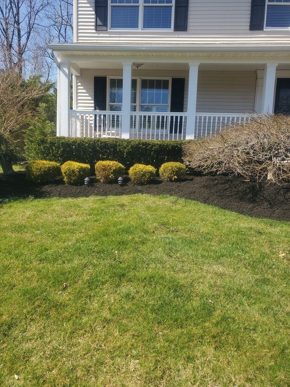 House front with a porch, green lawn, shrubs, and black mulch border.