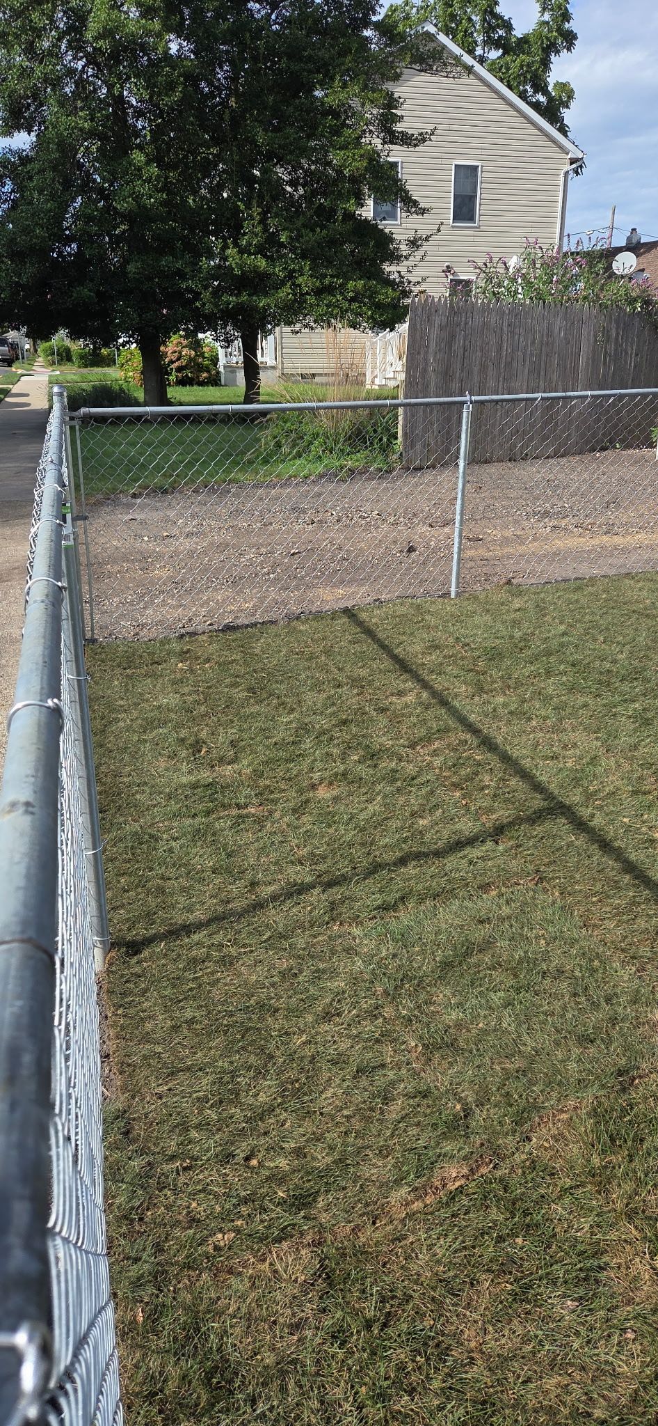 A chain-link fence lines a yard with patchy grass. A tree and house are in the background.
