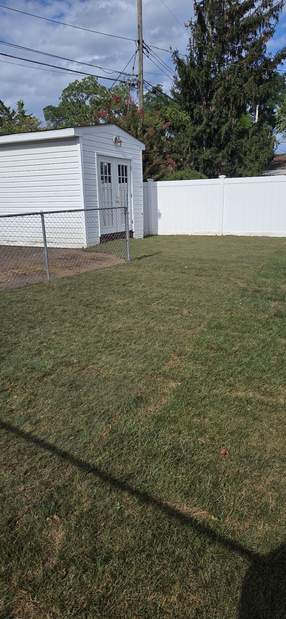 Backyard with white shed, fence, and brown grass on a cloudy day.