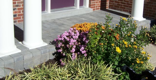 Porches/Pathways/Steps